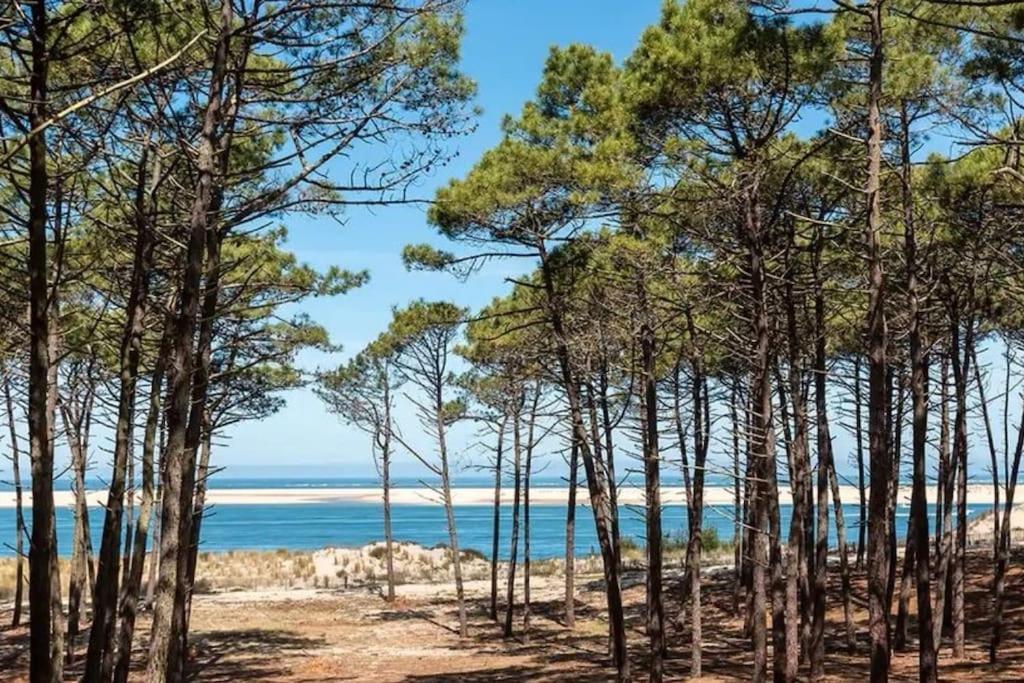 Atlandes - Entre Lac Et Mer 比斯卡罗斯 外观 照片